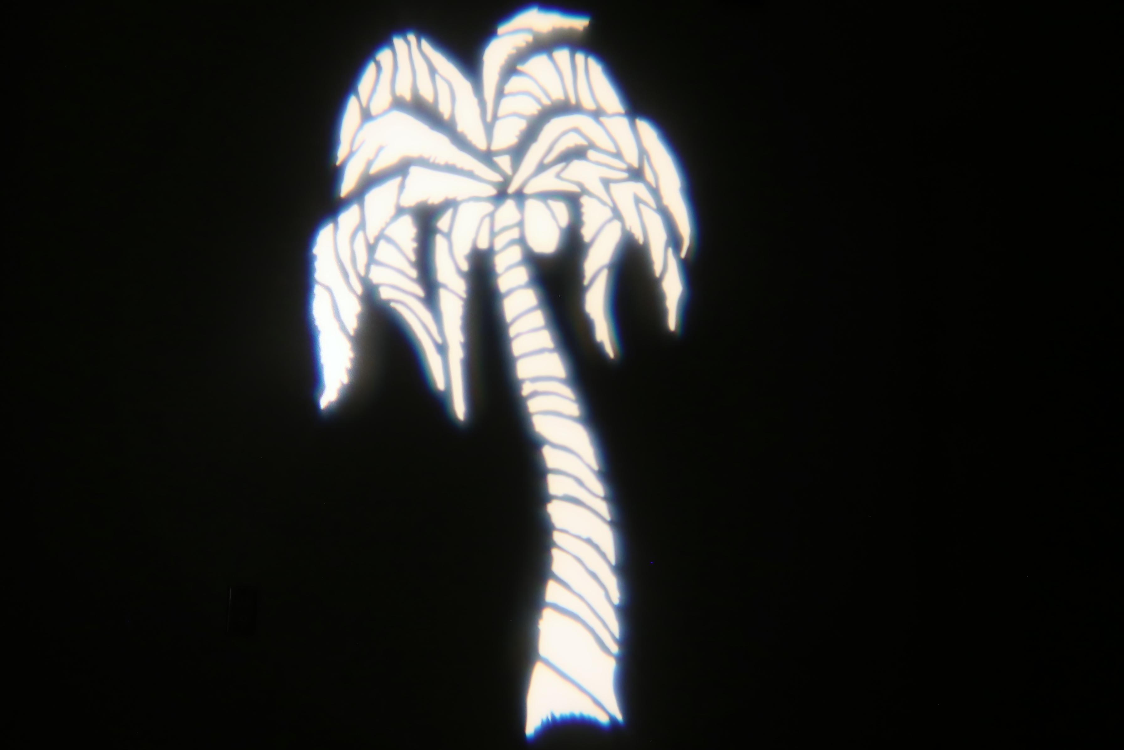 Image of Palm Tree Gobo